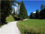 Ehrwald - Ehrwalder Alm